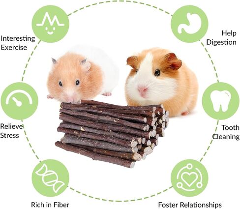 330g Natural Apple Sticks Rabbit Chew Toys, Bunny Teething Toys, Easy to Store in Jar, Ideal for Rabbit, Guinea Pig, Hamster, Chinchilla, Chipmunks, Squirrels, Gerbils, Small Animals in Saudi Arabia