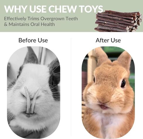 330g Natural Apple Sticks Rabbit Chew Toys, Bunny Teething Toys, Easy to Store in Jar, Ideal for Rabbit, Guinea Pig, Hamster, Chinchilla, Chipmunks, Squirrels, Gerbils, Small Animals in Saudi Arabia