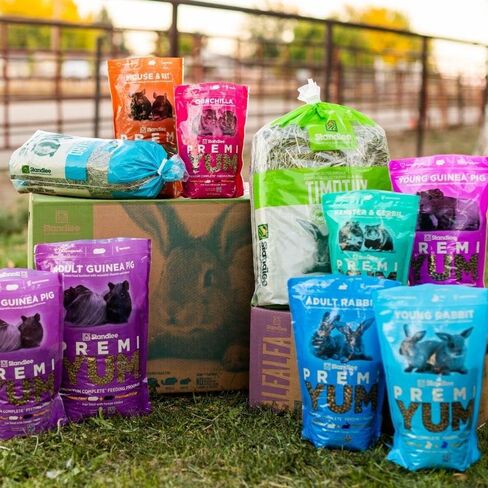 Standlee BananaYums Small Animal Treats for Rabbits, Guinea Pigs, and Chinchillas, 8 oz in Saudi Arabia