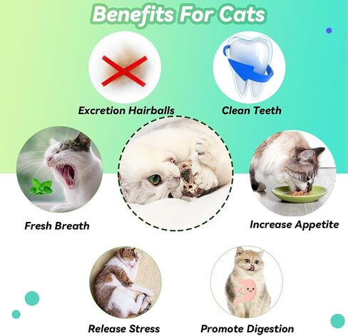 Cat Toys, 4 Packs Catnip Ball Toys, Nature Silvervine Stick Cage Cat Bell Balls, Catnip Toys for Cleaning Teeth, Relaxing Cats, for All Breeds in Saudi Arabia