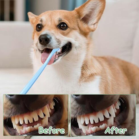 Lusofie 4pcs Dog Toothbrush Mini Head Puppy Toothbrush for Pet Toothbrush Cleaning Kit，Small Tooth Brush for Puppies Cat Tooth Brush Soft Bristles Small Dog Toothbrush Brushing Kit in Kuwait
