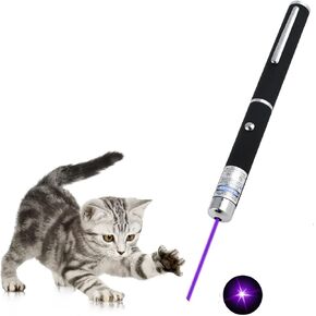Cat Toys Purple Remotes for Indoor Classroom Interactive Teaching (Purple, Without Battery 1 Pack)