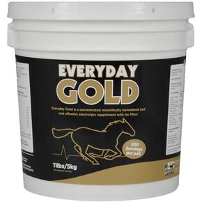 TRM Everyday Gold Electrolyte Horse Supplement for Performance and Recovery | Sodium, Potassium, Magnesium, Calcium - 11 lb (5kg) - 11 lb