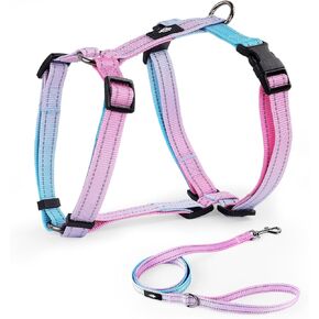 Medium Dog Harness and Leash Set, No Pull Dog Harness Adjustable Reflective, Dog Halter Harnesses Comfort Padded Handle, Pet Harness for Training Outdoor Walking (BAYDREAMING, M)