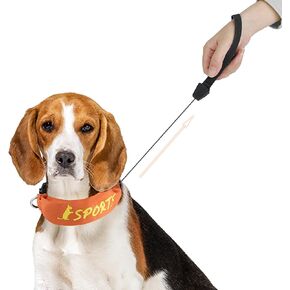 PETLESO Dog Collars with Retractable Leash, 2 in 1 Dog Collar with Built-in Retractable Leash for Medium to Large Dogs Outdoor Hiking Walking, Orange L