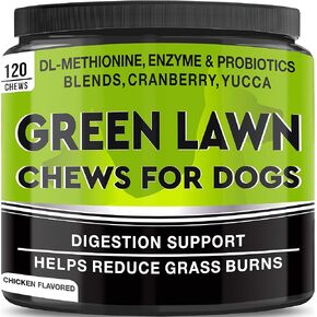Grass Treats for Dogs - Dog Pee Lawn Repair - Grass Burn Spots Caused by Dog Urine - Grass Rocks with Probiotics + Digestive Enzymes, Cranberry - Made in USA - 120 Soft Chews
