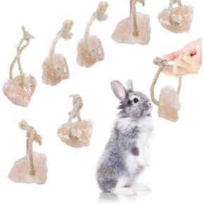 Hamiledyi Hamster Lick Salt Block on Rope Natural Small Animal Mineral Salt Block Chew Toys with Hanging Rope Rat Mineral Salt Chew Treat Supplies for Bunny Chinchilla Ferret 8PCS