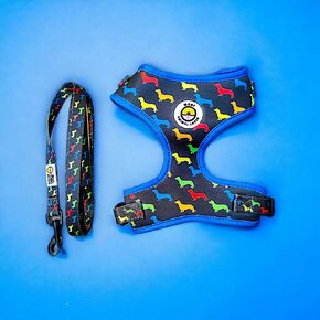 Small Dog Harness and Leash (Small)