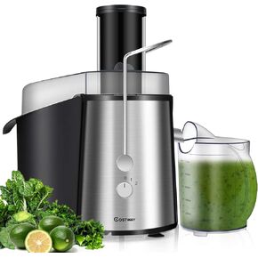 COSTWAY Juice Extractor, 75MM Wide Mouth Stainless Steel Juicer Machines, 2-Speed Setting High Speed Masticating Juicer Machine for Fruits and Vegetable with Slag Pot and Juice Jug, BPA-Free
