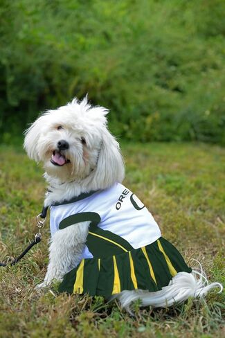 Pets First Collegiate University of Iowa Hawkeyes Dog Cheerleader Dress, X-Small in Saudi Arabia