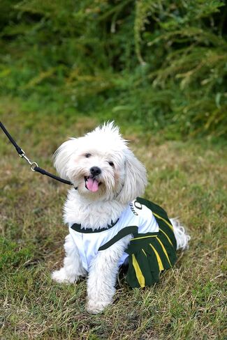 Pets First Collegiate University of Iowa Hawkeyes Dog Cheerleader Dress, X-Small in Saudi Arabia