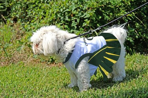 Pets First Collegiate University of Iowa Hawkeyes Dog Cheerleader Dress, X-Small in Saudi Arabia