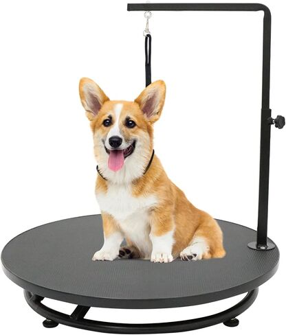 طاولة العناية بالحيوانات الأليفة مقاس 24 بوصة من Kalolary مع حلقة، طاولة دوارة 360 درجة للكلاب، طاولة تزيين بارتفاع قابل للتعديل للكلاب الصغيرة، محطة طاولة سبا منزلية للحيوانات الأليفة in Kuwait