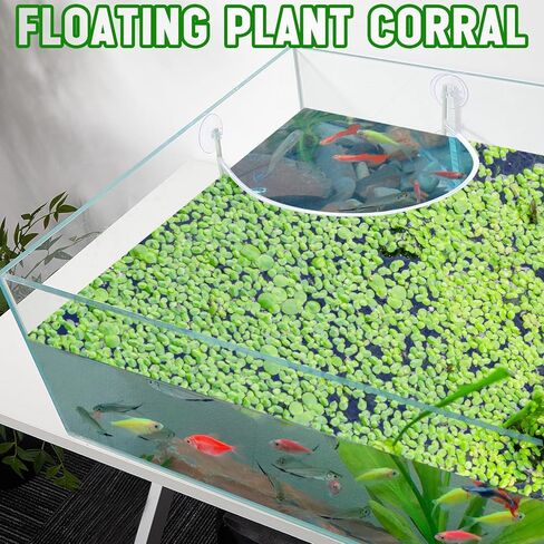 3 Sets Aquarium Floating Plant Corral Floating Plant Fence Aquarium Floating Plant Barrier Aquarium Fish Tank Accessories for Separates Floating Plants, Intercepting Floating Plants in Kuwait