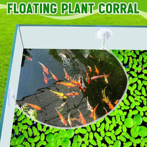 3 Sets Aquarium Floating Plant Corral Floating Plant Fence Aquarium Floating Plant Barrier Aquarium Fish Tank Accessories for Separates Floating Plants, Intercepting Floating Plants in Kuwait