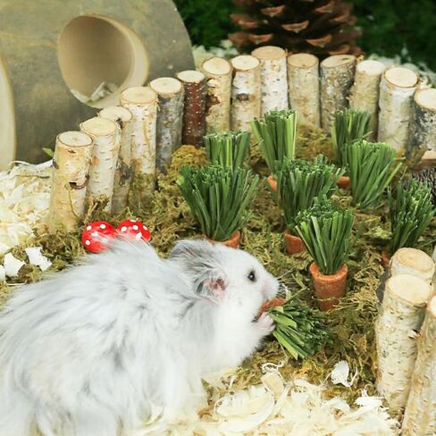 GANAZONO 18pcs Carrot Teething Sticks Hamster Rabbit Molar Toys Rabbit Chew Toys Pet Supplies Bunny Chew Carrot Toys Hamster Treats Bunny Chewing Toys Small Pet Teething Toys Bunny Treats in Saudi Arabia