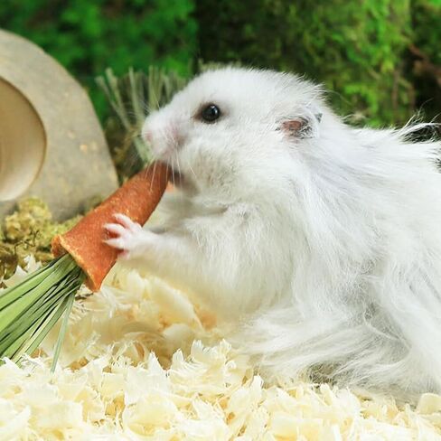 GANAZONO 18pcs Carrot Teething Sticks Hamster Rabbit Molar Toys Rabbit Chew Toys Pet Supplies Bunny Chew Carrot Toys Hamster Treats Bunny Chewing Toys Small Pet Teething Toys Bunny Treats in Saudi Arabia