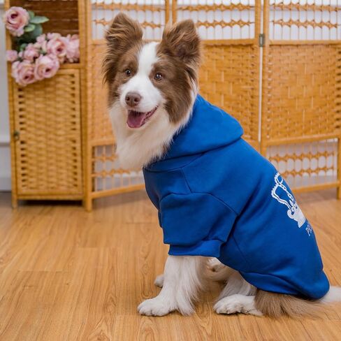EXPAWLORER Prince Dog Hoodie للأولاد - سترة بغطاء رأس للكلاب مع فتحة للمقود، ملابس للكلاب للطقس البارد، سويت شيرت مع جيب، ملابس دافئة للحيوانات الأليفة، معاطف شتوية للكلاب XS-XXL in Kuwait