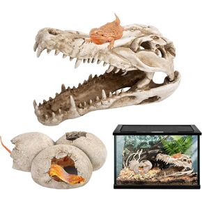 ملحقات خزان التنين الملتحي، ديكور كهف مخبأ لجمجمة الديناصورات وبيض الديناصورات مقاس 25.4 سم، إخفاء موطن الزواحف للسحالي والثعابين وأبو بريص والمزيد، ديكورات خزان الأسماك in Kuwait