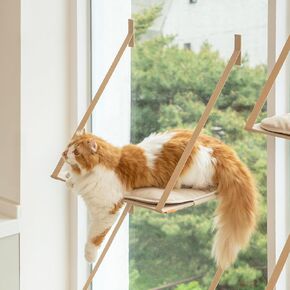 Alldaynap Folding Cat Window Perch Essentials - Premium Cat Hammock Space Saving Window Mounted Cat Seat for Indoor Cats (Large Bed Inside) in Saudi Arabia