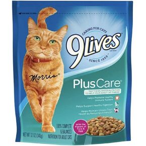 9Lives Cat Plus Care Dry Food 12oz #13291, 12 Ounce (Pack of 1), Multicolored