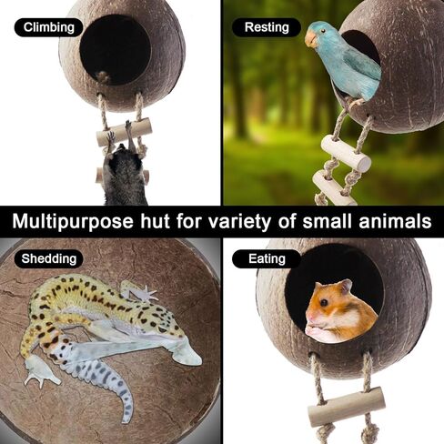 naneezoo 2 حزمة الناسك سرطان البحر جوز الهند قشر كوخ الفهد أبو بريص مخبأ مع سلم الزواحف كهف الموائل مع حلقة معلقة وكوب الشفط، ديكور Terrarium لسرطان الناسك، سحلية، أبو بريص in Kuwait