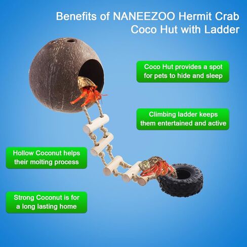 naneezoo 2 حزمة الناسك سرطان البحر جوز الهند قشر كوخ الفهد أبو بريص مخبأ مع سلم الزواحف كهف الموائل مع حلقة معلقة وكوب الشفط، ديكور Terrarium لسرطان الناسك، سحلية، أبو بريص in Kuwait