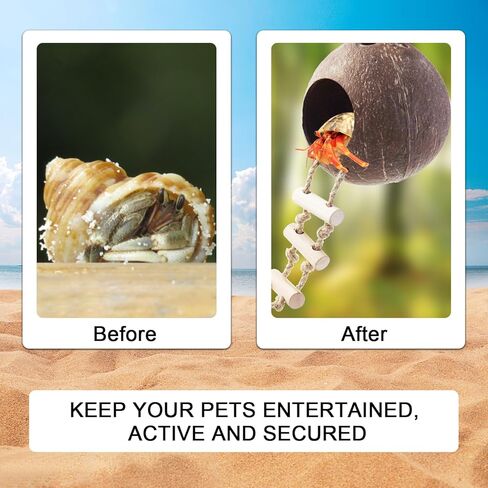 naneezoo 2 حزمة الناسك سرطان البحر جوز الهند قشر كوخ الفهد أبو بريص مخبأ مع سلم الزواحف كهف الموائل مع حلقة معلقة وكوب الشفط، ديكور Terrarium لسرطان الناسك، سحلية، أبو بريص in Kuwait