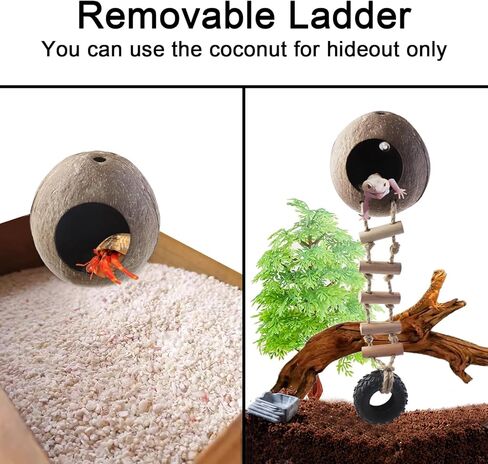 naneezoo 2 حزمة الناسك سرطان البحر جوز الهند قشر كوخ الفهد أبو بريص مخبأ مع سلم الزواحف كهف الموائل مع حلقة معلقة وكوب الشفط، ديكور Terrarium لسرطان الناسك، سحلية، أبو بريص in Kuwait