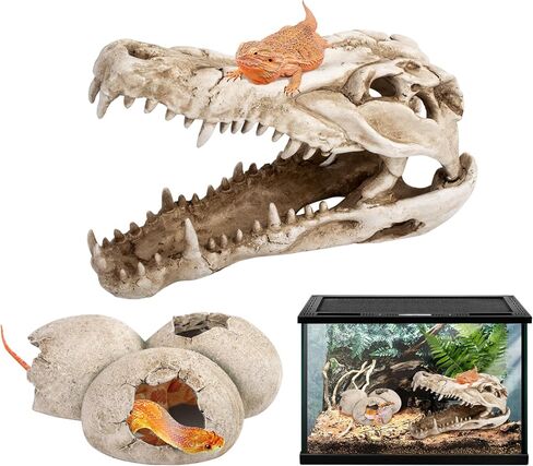 ملحقات خزان التنين الملتحي، ديكور كهف مخبأ لجمجمة الديناصورات وبيض الديناصورات مقاس 25.4 سم، إخفاء موطن الزواحف للسحالي والثعابين وأبو بريص والمزيد، ديكورات خزان الأسماك in Kuwait