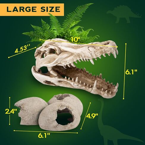 ملحقات خزان التنين الملتحي، ديكور كهف مخبأ لجمجمة الديناصورات وبيض الديناصورات مقاس 25.4 سم، إخفاء موطن الزواحف للسحالي والثعابين وأبو بريص والمزيد، ديكورات خزان الأسماك in Kuwait
