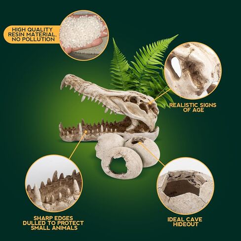 ملحقات خزان التنين الملتحي، ديكور كهف مخبأ لجمجمة الديناصورات وبيض الديناصورات مقاس 25.4 سم، إخفاء موطن الزواحف للسحالي والثعابين وأبو بريص والمزيد، ديكورات خزان الأسماك in Kuwait