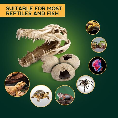 ملحقات خزان التنين الملتحي، ديكور كهف مخبأ لجمجمة الديناصورات وبيض الديناصورات مقاس 25.4 سم، إخفاء موطن الزواحف للسحالي والثعابين وأبو بريص والمزيد، ديكورات خزان الأسماك in Kuwait
