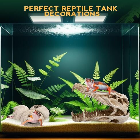 ملحقات خزان التنين الملتحي، ديكور كهف مخبأ لجمجمة الديناصورات وبيض الديناصورات مقاس 25.4 سم، إخفاء موطن الزواحف للسحالي والثعابين وأبو بريص والمزيد، ديكورات خزان الأسماك in Kuwait