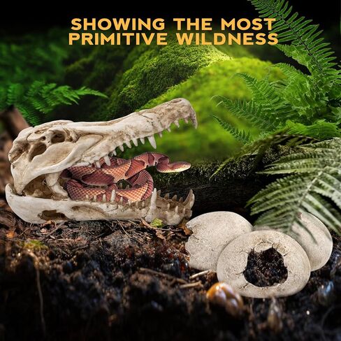 ملحقات خزان التنين الملتحي، ديكور كهف مخبأ لجمجمة الديناصورات وبيض الديناصورات مقاس 25.4 سم، إخفاء موطن الزواحف للسحالي والثعابين وأبو بريص والمزيد، ديكورات خزان الأسماك in Kuwait