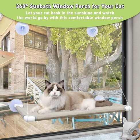 Cat Window Perch - Cat Window Hammock Cat Bed Window for Large Cats, Space Saving Cat Shelves Window Mounted Safety Cat Seat, Providing All Around 360° Sunbathe for Indoor, for All Seasons in Kuwait