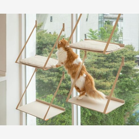 Alldaynap Folding Cat Window Perch Essentials - Premium Cat Hammock Space Saving Window Mounted Cat Seat for Indoor Cats (Large Bed Inside) in Saudi Arabia