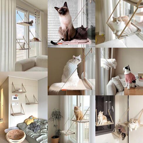 Alldaynap Folding Cat Window Perch Essentials - Premium Cat Hammock Space Saving Window Mounted Cat Seat for Indoor Cats (Large Bed Inside) in Saudi Arabia