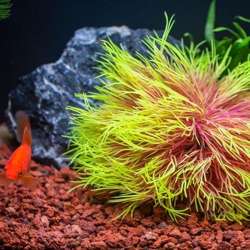 ديكورات حوض أسماك حوض السمك نباتات بلاستيك ديكور صناعي (أبيض) in Kuwait