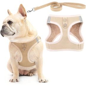 PUPTECK Dog Harness and Leash Set for Small Medium Dogs No Pull Step-in Soft Mesh Puppy Cat Vest Harnesses Reflective at Night, Green S