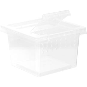 FRCOLOR Insect Spider Terrariums Breeding Box Mini Critter Keeper Insect Carrier Insect Feeding Box Plastic Hatching Container
