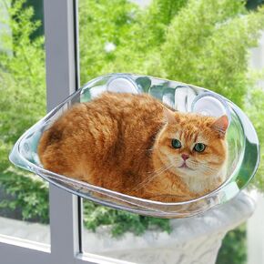 Cat Perch for Window - Clear Cat Perch - Cat Window Seat for Cats and Kittens - Cat Window Bed