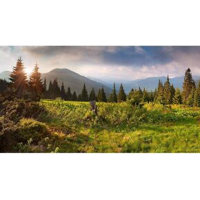 Reptile Habitat Background Nature Landscape Aquarium Background Blue Sky Sun Mountain Pine Tree Grass Terrarium Background Durable Polyester Background Vinyl 24x16in