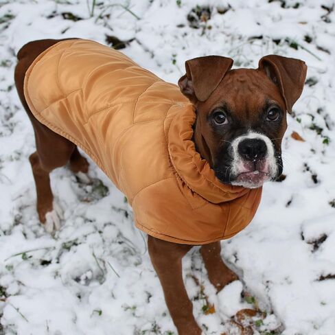 معطف شتوي للكلاب، سترة مبطنة دافئة للكلاب، ملابس للكلاب مقاومة للرياح للحيوانات الأليفة الصغيرة والمتوسطة والكبيرة، سترة عيد الميلاد للكلاب (أخضر، مقاس XL) in Kuwait