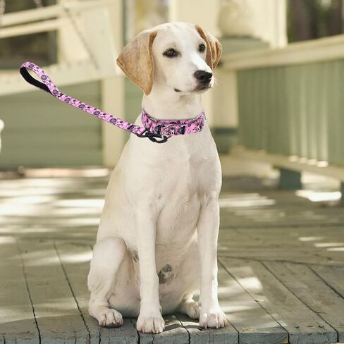 Martingale Collar and Leash Set, Premium No Slip Martingale Collar for Dogs Medium Large, Girl Dog Collars Training (NO23, M) in Kuwait