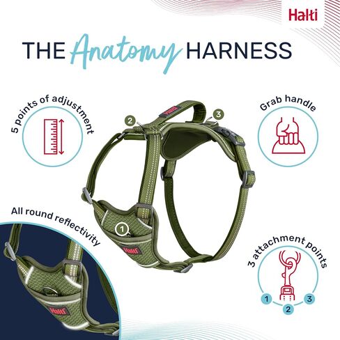 HALTI Anatomy Dog Harness with Handle - Provides Your Dog Freedom of Movement for Comfortable Walking. 3 Leash Attachment Points, Neoprene Padded, Adjustable, and Reflective (Size Small, Green) in Saudi Arabia