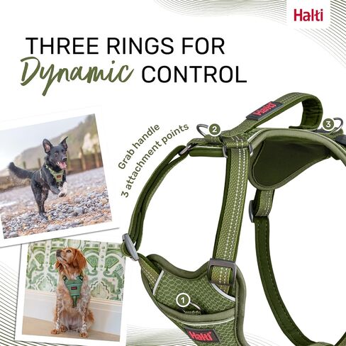 HALTI Anatomy Dog Harness with Handle - Provides Your Dog Freedom of Movement for Comfortable Walking. 3 Leash Attachment Points, Neoprene Padded, Adjustable, and Reflective (Size Small, Green) in Saudi Arabia