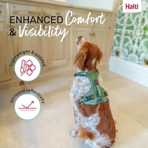 HALTI Anatomy Dog Harness with Handle - Provides Your Dog Freedom of Movement for Comfortable Walking. 3 Leash Attachment Points, Neoprene Padded, Adjustable, and Reflective (Size Small, Green) in Saudi Arabia