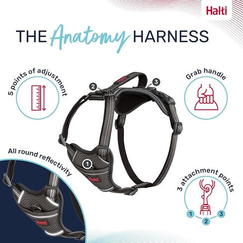 HALTI Anatomy Dog Harness with Handle - Provides Your Dog Freedom of Movement for Comfortable Walking. 3 Leash Attachment Points, Neoprene Padded, Adjustable, and Reflective (Size Small, Green) in Saudi Arabia
