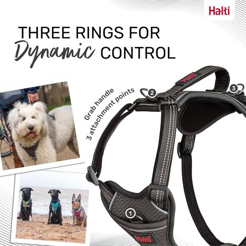 HALTI Anatomy Dog Harness with Handle - Provides Your Dog Freedom of Movement for Comfortable Walking. 3 Leash Attachment Points, Neoprene Padded, Adjustable, and Reflective (Size Small, Green) in Saudi Arabia